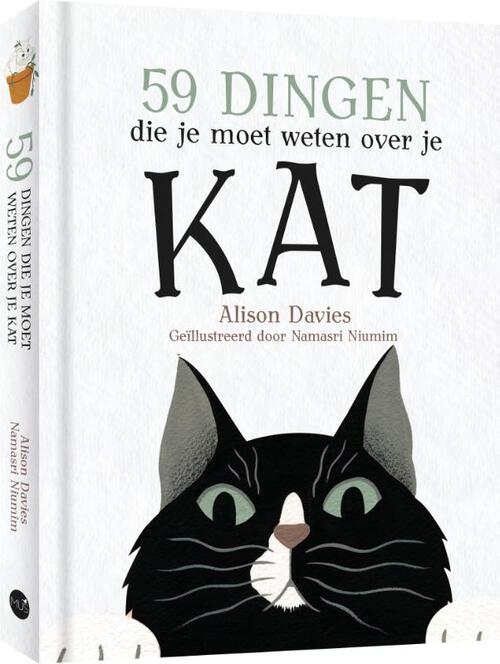 59 Dingen Die Je Moet Weten Over Je Kat Alison Davies Namasri Niumim